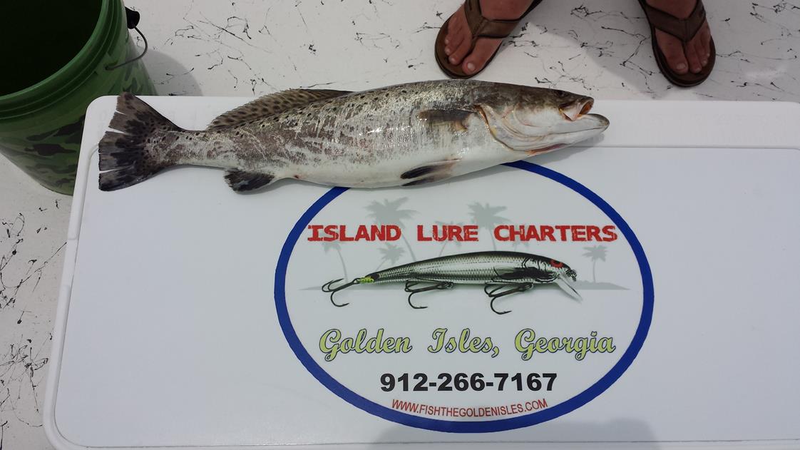 Island Lure Charters Portfolio Image